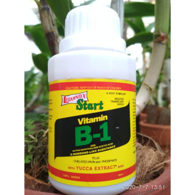 ORIGINAL Liquinox Vitamin B1 ZPT  untuk ANGGREK/AGLONEMA
