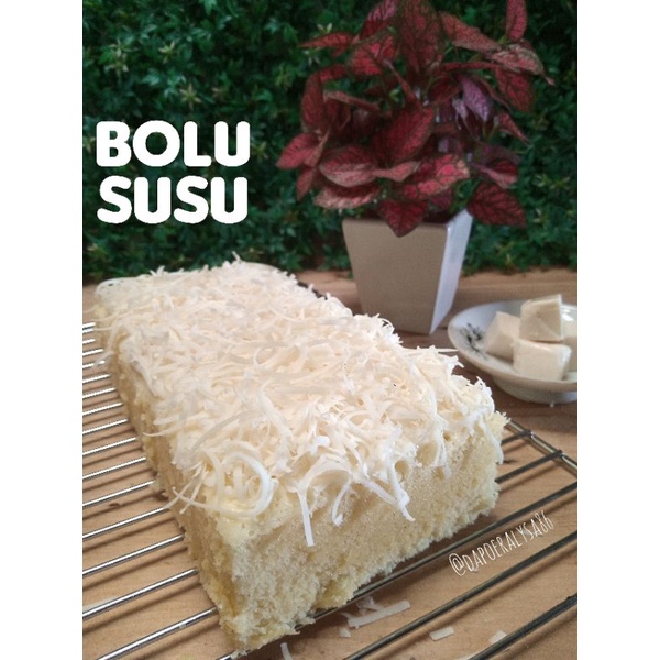 

Bolu Susu