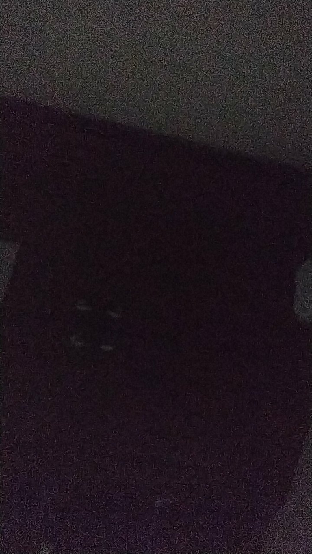 Calypso Wajan Kuali Penggorengan Stainless Steel Tebal  36cm Wajan Stainless 36 Cm