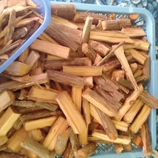 TEH mhs KAYU BAJAKAH Teh Kayu Bajakah Kalimantan Kualitas TERBAIK 100% Herbal Kayu Akar Bajakah Asli