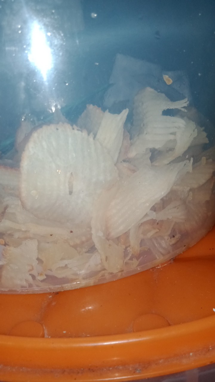 Alat Pengiris Bawang Singkong Pisang Serbaguna Ukuran Kecil
