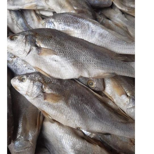 

(PROMO 7PQ61) Ikan Asin Sileman 500 gr ✽