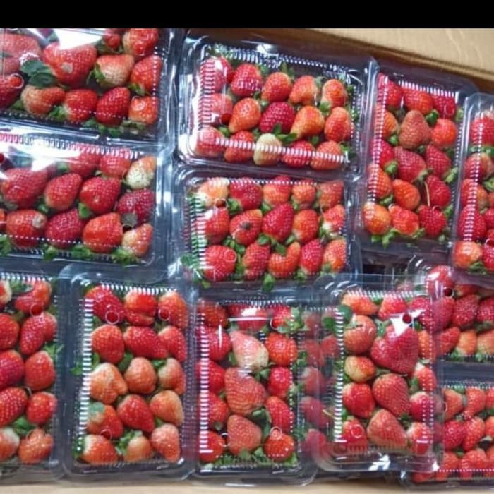 

Strawberry Fresh Bandung 14O GR