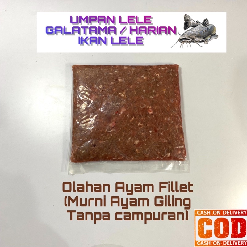 Jual Umpan Galatama Harian Ikan Lele Olahan Ayam Fillet Ayam