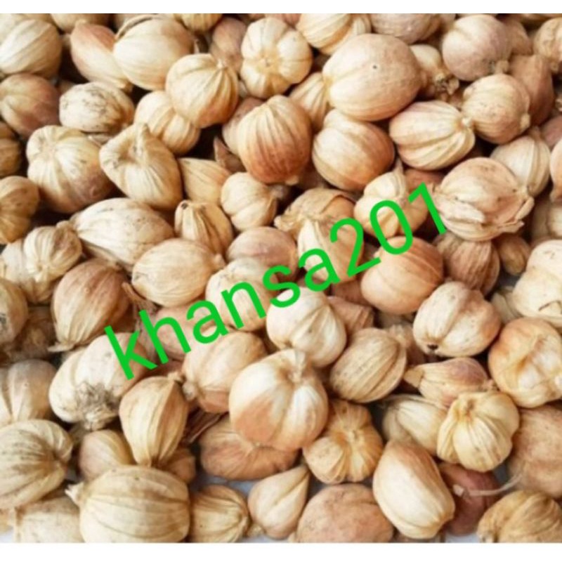 

BIJI KAPULAGA KERING 500GRAM