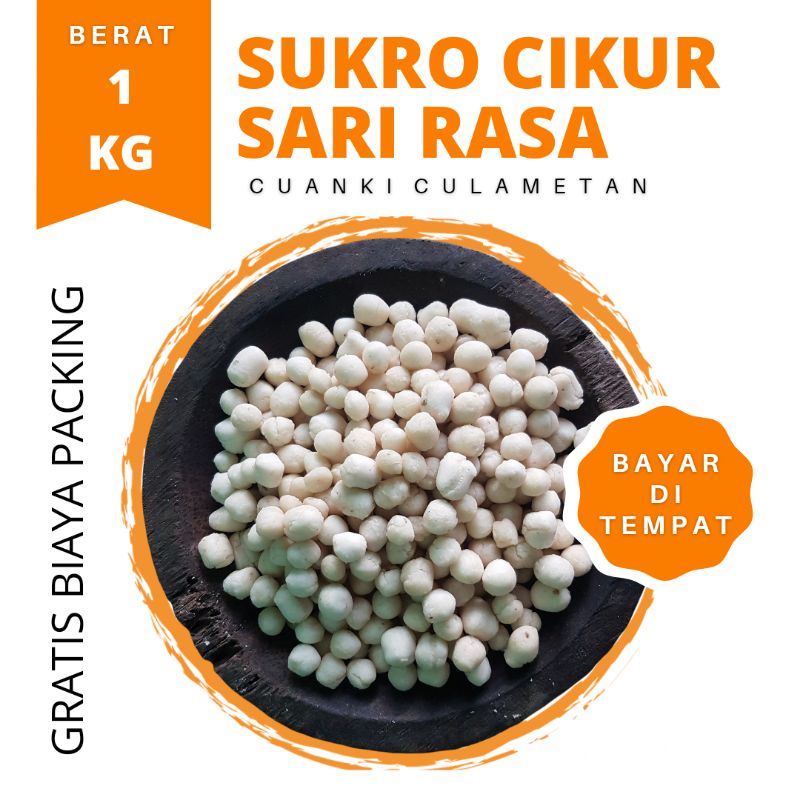 

SUKRO CIKUR 1 KG. Sari Rasa Pilus Kencur Toping Seblak Baso Aci