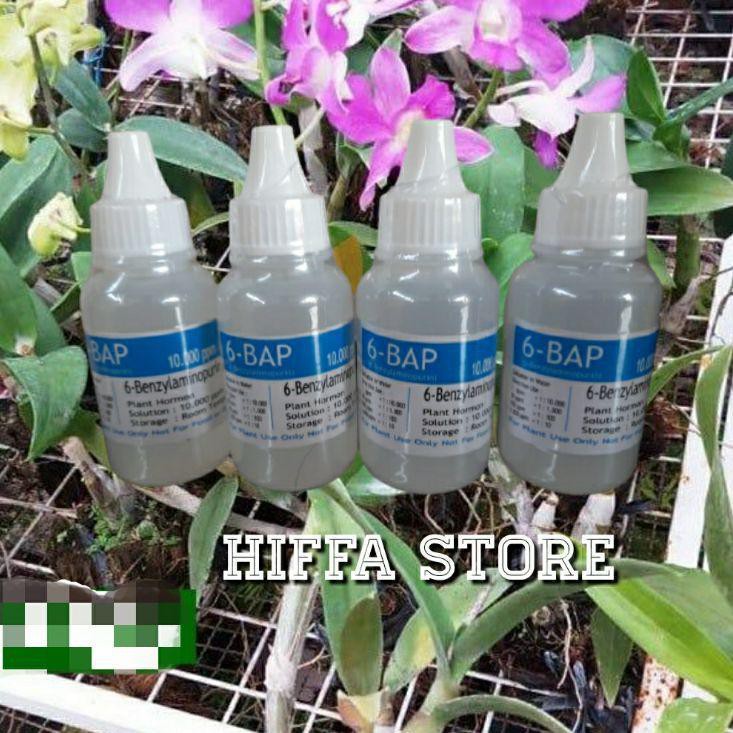 [Terkeren Se-RI] Hormon Anggrek Penumbuh Tunas Keiki 6-BAP Benzyl Amino Purin Murah Irit Pemakaian B