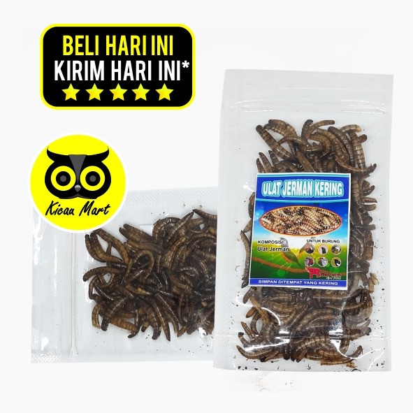 PAKAN MAKANAN MURAI KACER ANIS CUCAK PLECI CIBLEK JALAK HARIAN ULAT JERMAN KERING R-FAM JAYA PKJK5RF