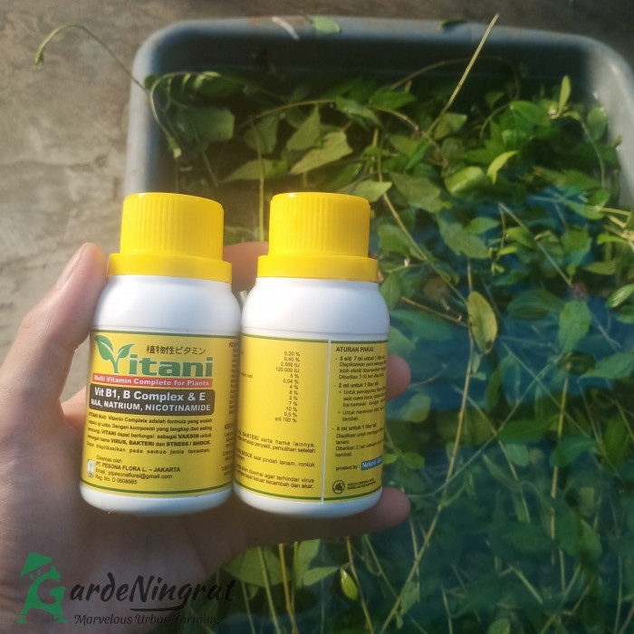 Pupuk Vitani Multivitamin B1, B Complex & E Untuk Tanaman 100ML