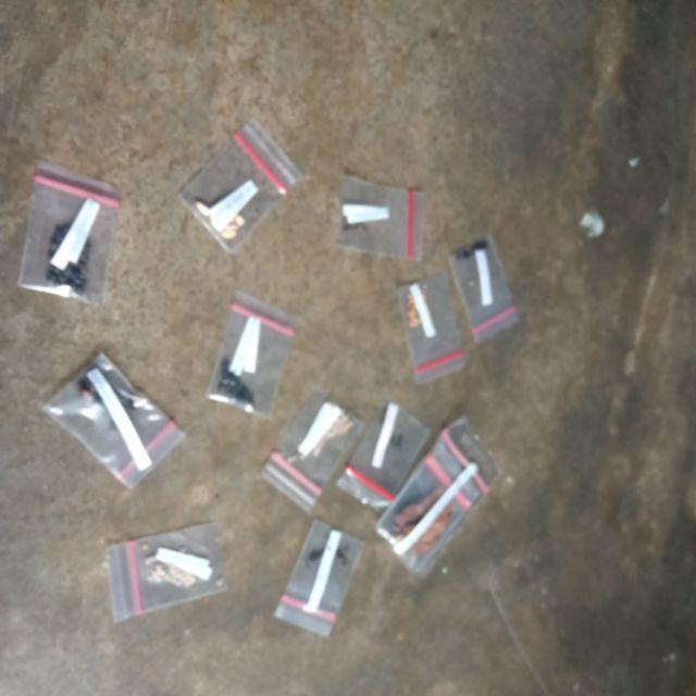 Biji/benih/bibit Bunga Costus Speciosus (15 Biji)