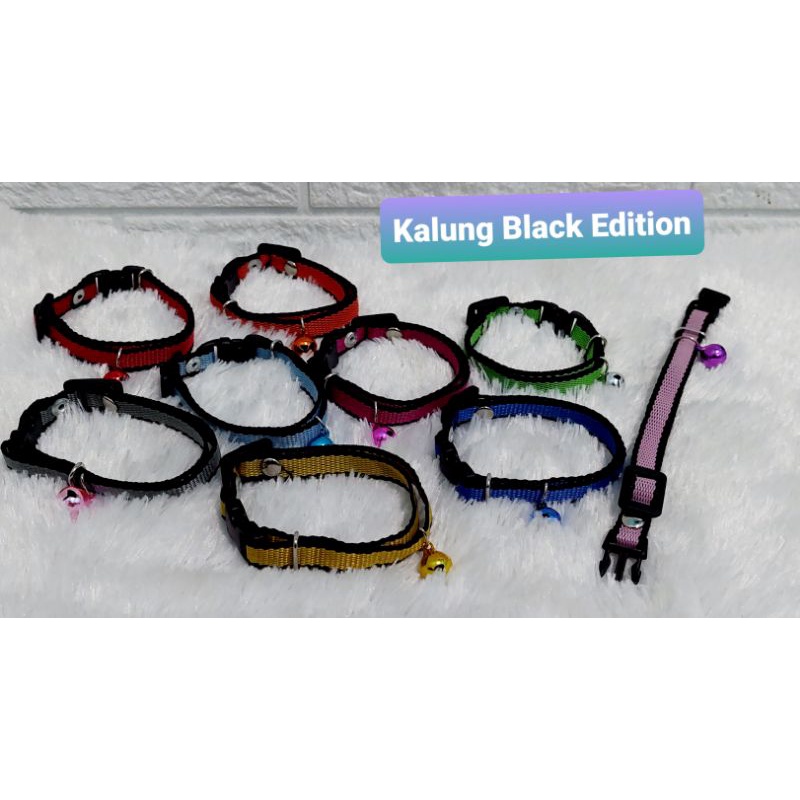 Kalung kucing Black Color Edition lonceng 12mm BK