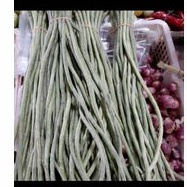 

KACANG PANJANG