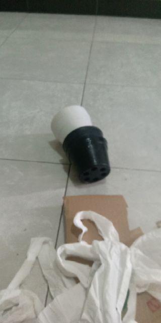 Kaktus Micky Mouse + Pot