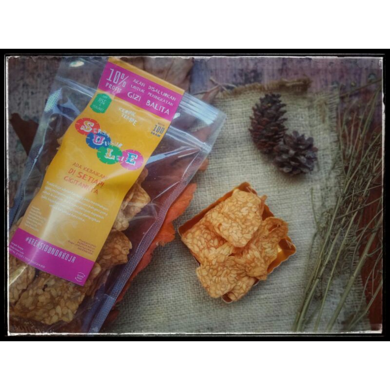 

BundaKoja Keripik tempe cemilan homemade