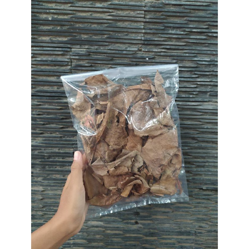 

Daun Ketapang Olahan