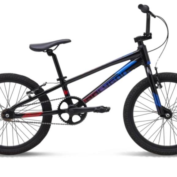 Sepeda Anak Polygon BMX 20 Rogue