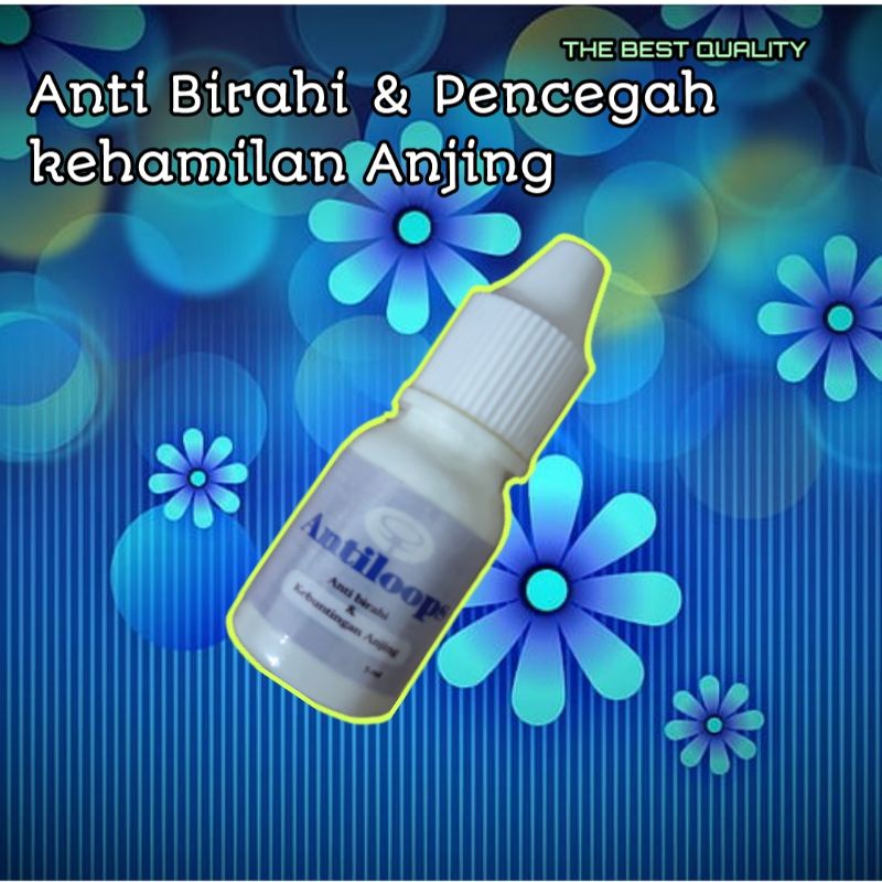 anti Birahi anjing pencegah kehamilan