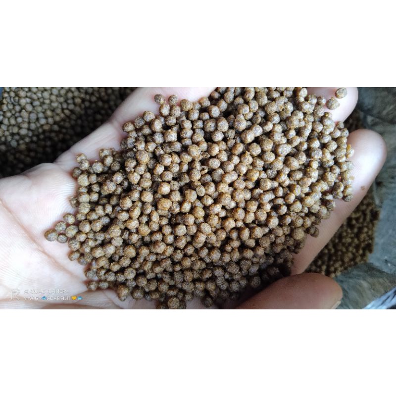 pelet ikan 781-1 Kusus lele.nila.gurame bawal-ikan mas