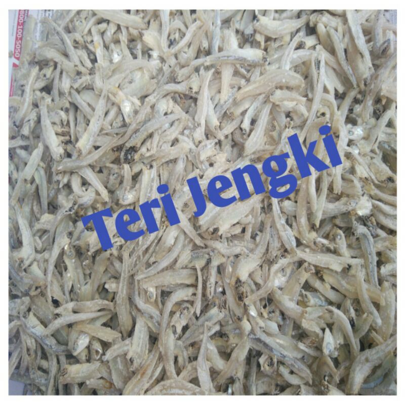 

Ikan Teri Jengki