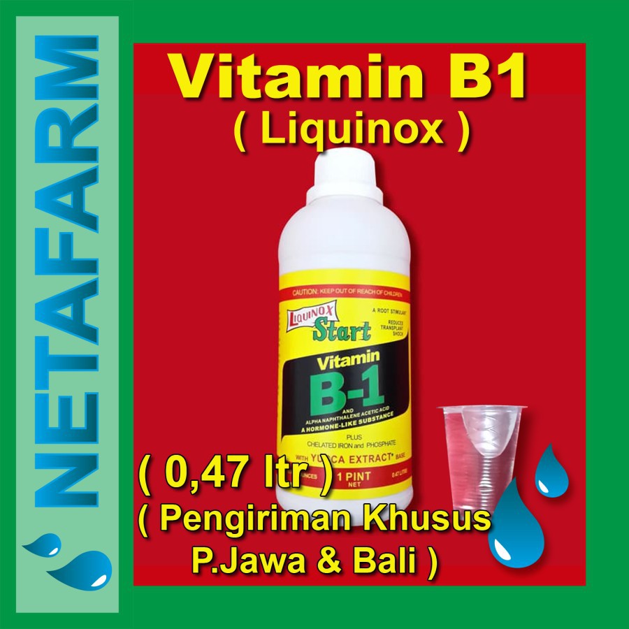 Jual PUPUK VITAMIN B1 - LIQUINOX B1 Isi 0,47 Liter | Shopee Indonesia