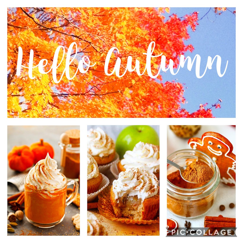

Fall Autumn Pumpkin Pie Spice Apple Pie Spice Gingerbread Spice Bundle Set Halloween Thanksgiving