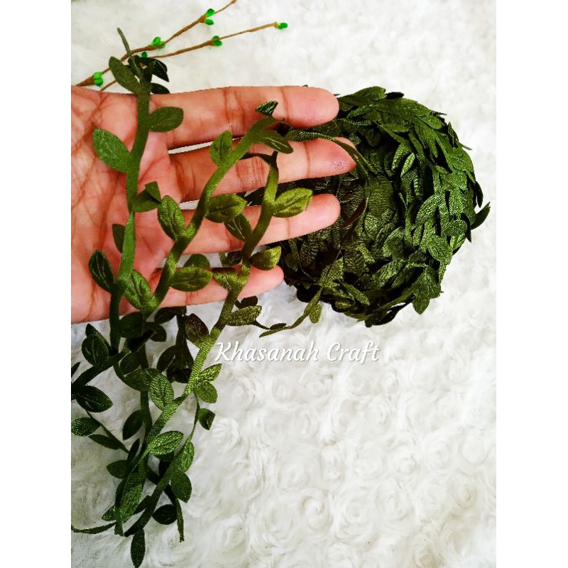 Daun rambat / tali daun