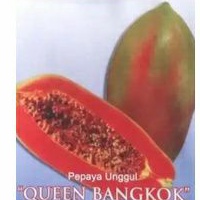 

Buah pepaya bangkok manis fresh per 1 buah