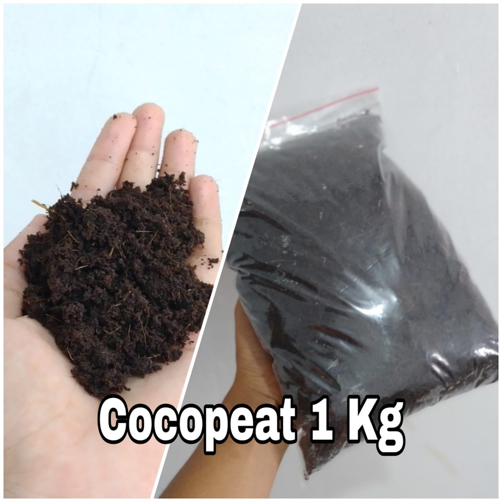 

Cocopeat