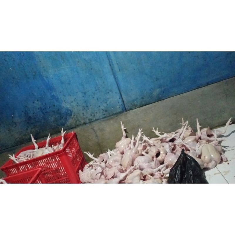 

daging