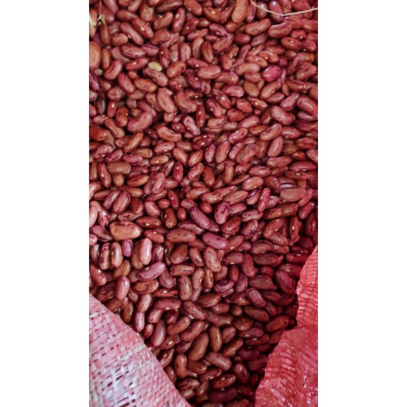 

Kacang Merah / Kacang Jogo 500Gram 1/2kilo Premium! Ukuran Besar Dijamin Fresh!!!