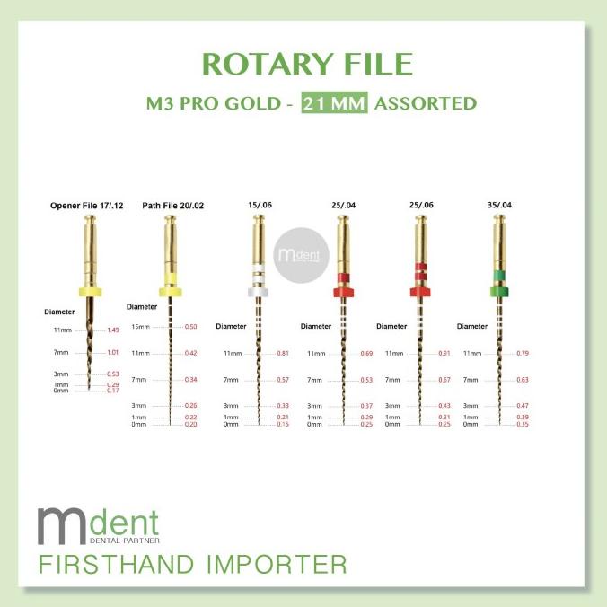 

Rotary File M3-Pro Gold Assorted 21Mm