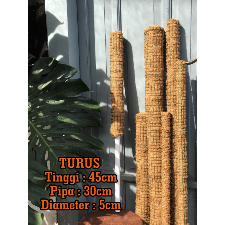 Turus Pipa Sabut Kelapa diameter 5cm tinggi 75cm