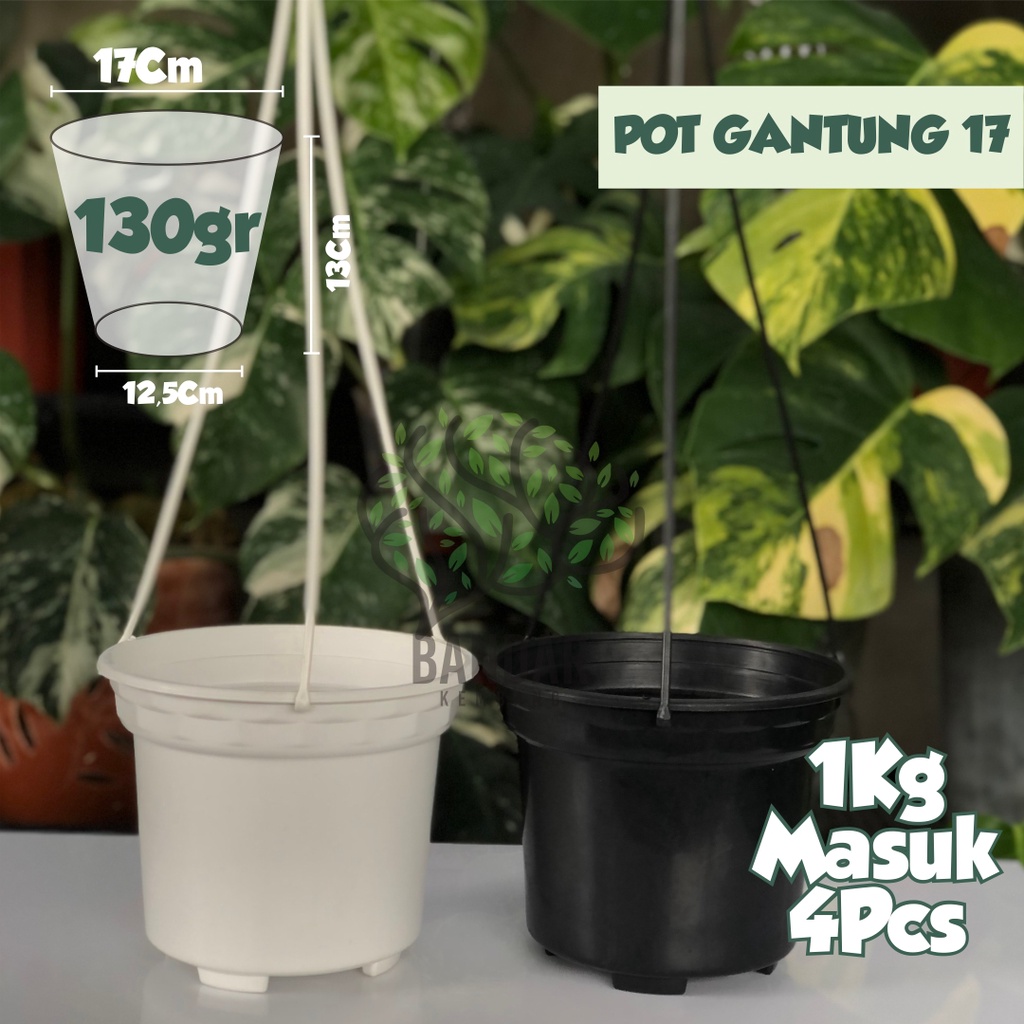 Pot Gantung Tanaman Hias Bunga Bukan Lovenia Ukuran 17 Hitam Putih Bahan Plastik