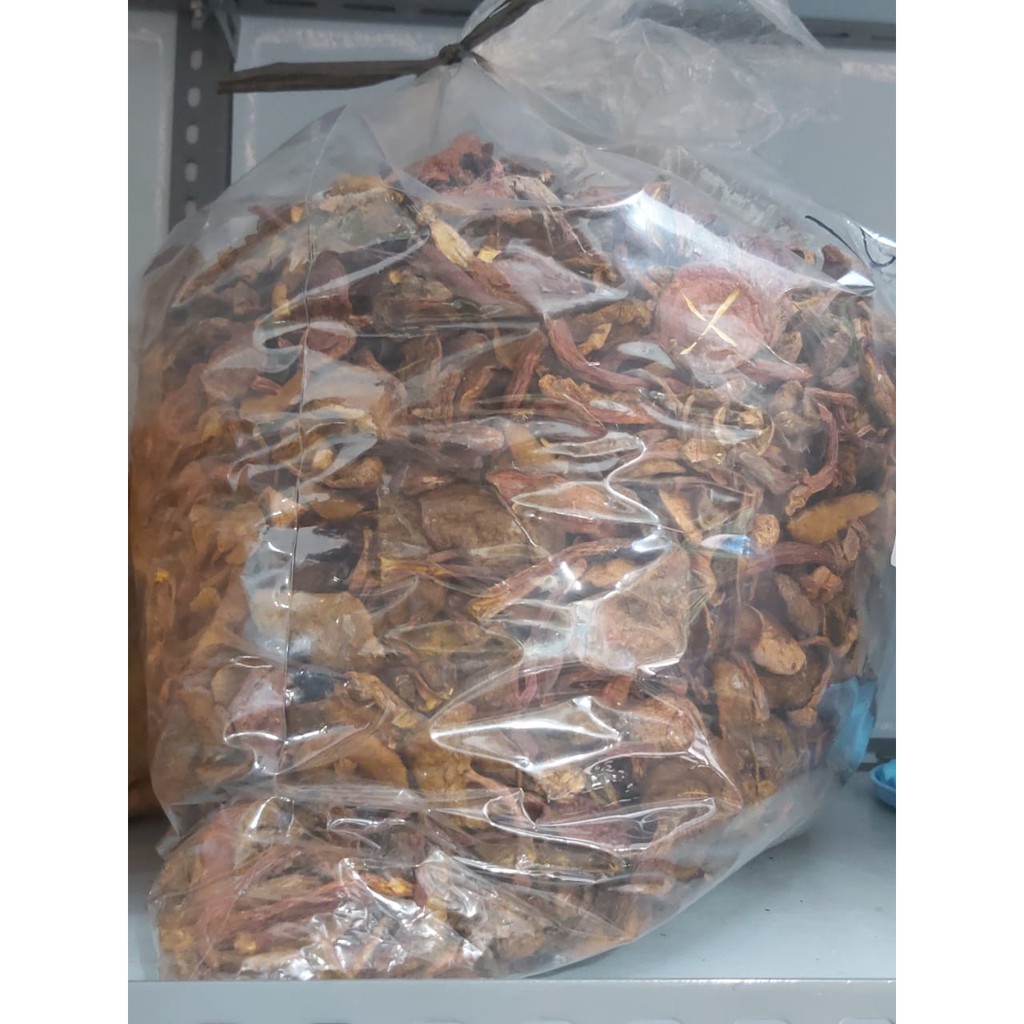 

Jamur Pelawan Kering 100gr / Jamur Bangka / Kulat