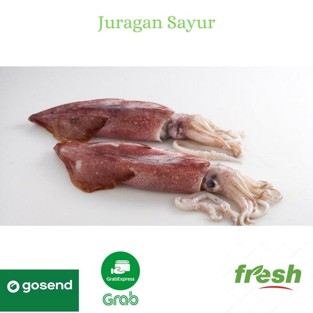 

Cumi-Cumi Super Segar Murah