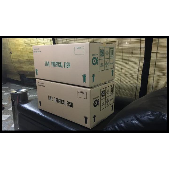 

Kardus Bekas Untuk Packing 75.5 CM X 42.5 CM X 34.5 CM