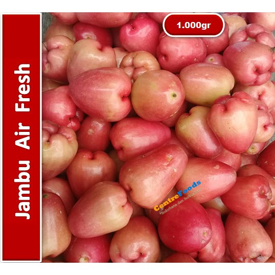 

Jambu Air Fresh | Merah [ Harga Per KG ]