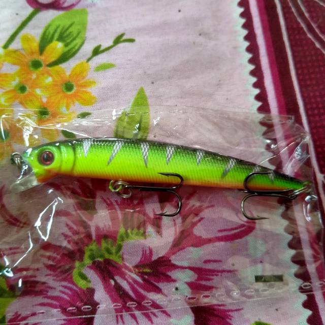 Minow umpan ikan laut & sungai