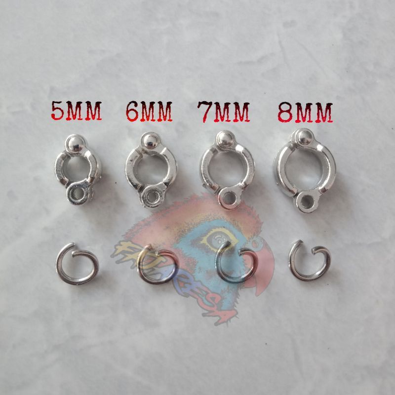 Ring borgol burung falk sunconure love bird cockatile small medium