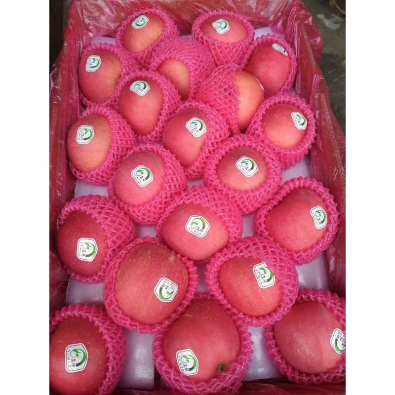 

Apel Fuji Premium Citra Segar Sehat per Box 17 kg