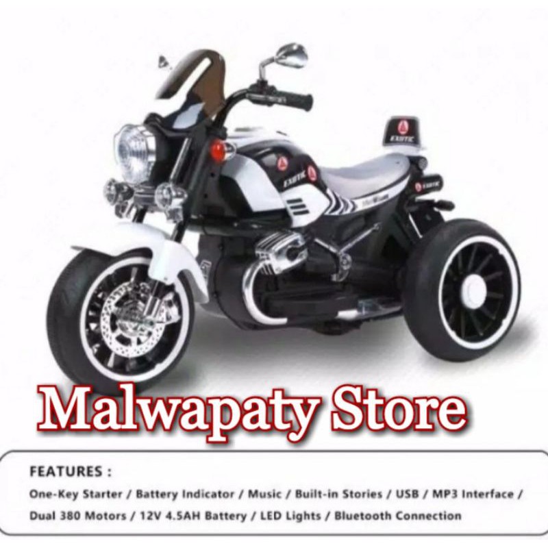 MOTOR AKI ANAK MOGE HARLEY DAVIDSON EXOTIC