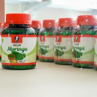 

Kelor Moringga Moringa HPA Pak Haji