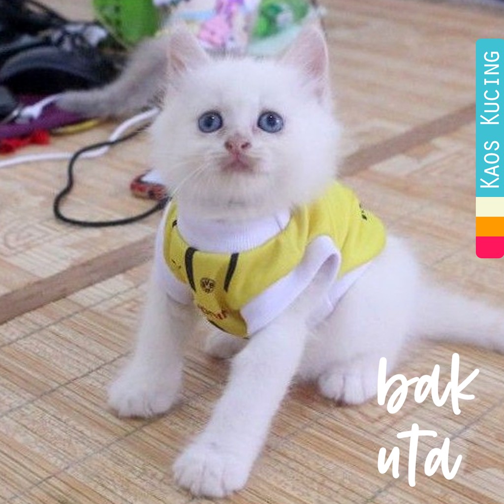 Baju jersey bola dortmond kuning untuk kucing dan anjing / baju kucing murah size S M L XL