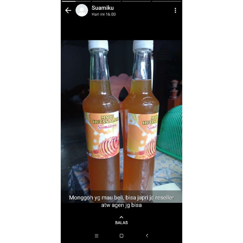 

madu hutan