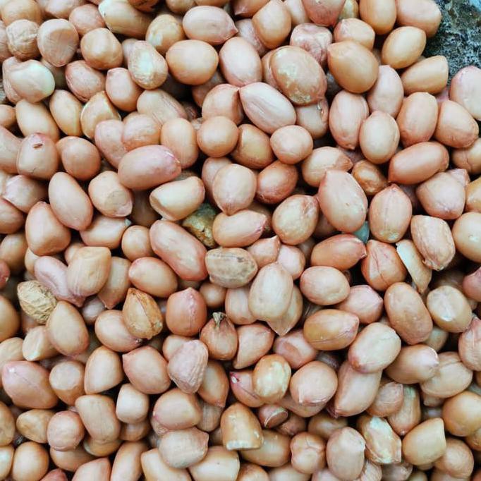 

Big Sale Kacang Tanah Kulit Mentah ukuran 80/90 Putih India Super Big Sale