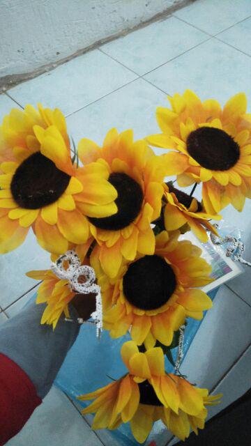 Bunga Matahari Kelopak Besar X7