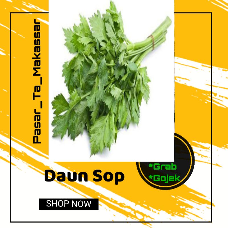 

Daun Seledri / Daun Sop / Pasar Ta Makassar / Pasar Sayur Makassar