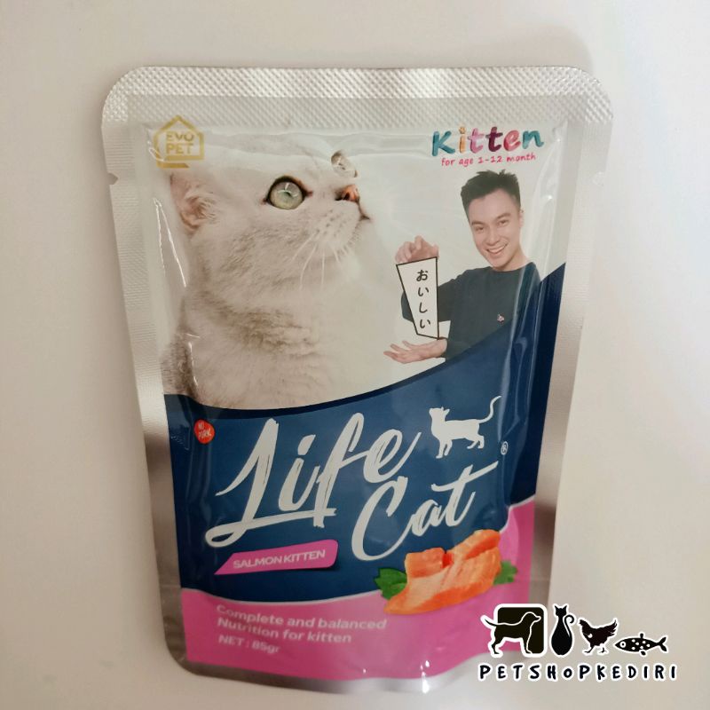 Life Cat Salmon Kitten