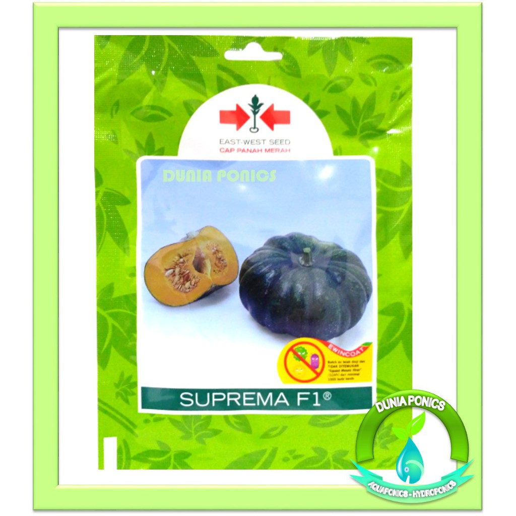Benih Labu Kuning SUPREMA F1 Cap Panah Merah Kemasan Asli Small Pouch 1 Pack 40 Seeds