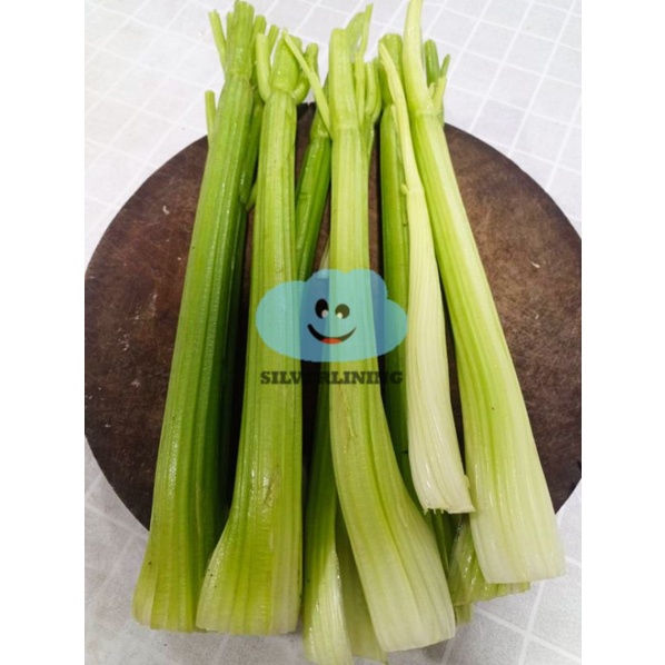 

CELERY STICK IMPORT CHINA TANPA DAUN TANPA BONGGOL 500GRAM